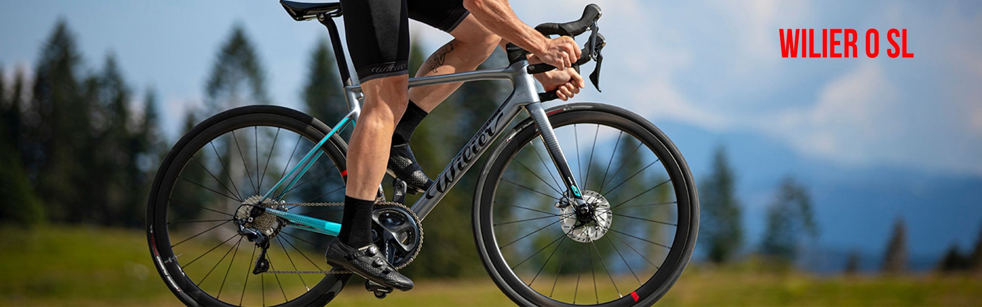 wilier